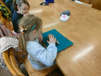 IMG-20260511-WA0233