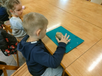 IMG-20260511-WA0235