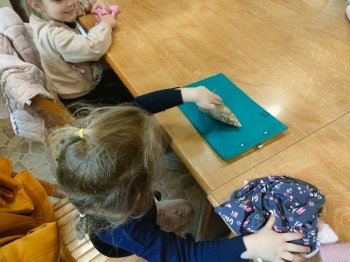 IMG-20260511-WA0236
