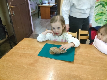 IMG-20260511-WA0237
