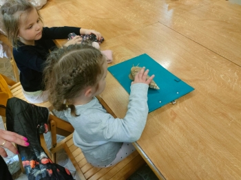 IMG-20260511-WA0238
