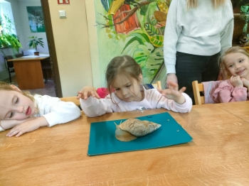 IMG-20260511-WA0240