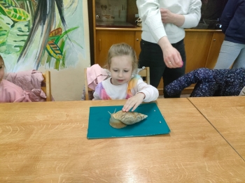 IMG-20260511-WA0242