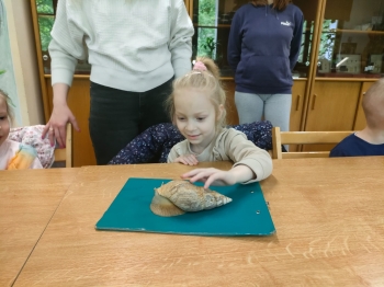 IMG-20260511-WA0243