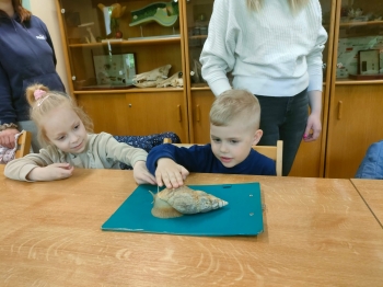 IMG-20260511-WA0244