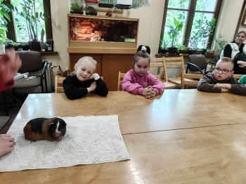 IMG20260519120903