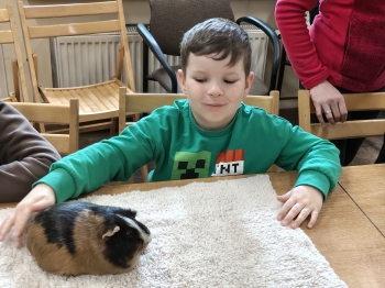 IMG20260519121034