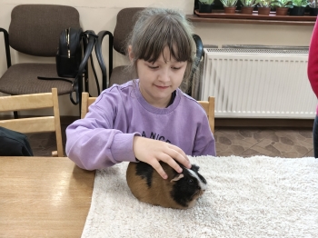 IMG20260519121115