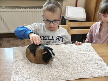 IMG20260519121125