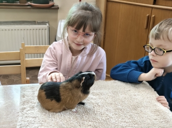 IMG20260519121144