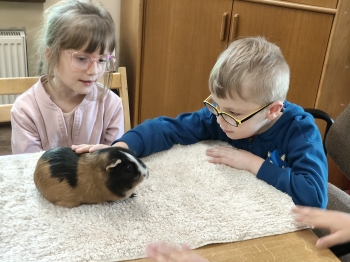 IMG20260519121152