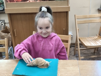IMG20260519122101