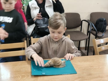 IMG20260519122150