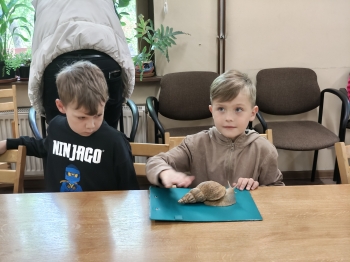 IMG20260519122201