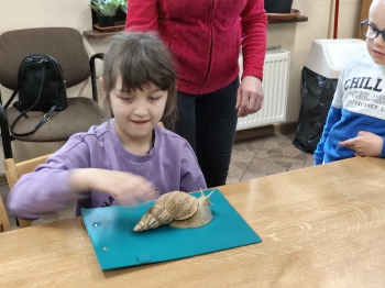 IMG20260519122217