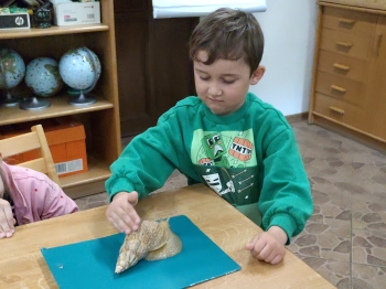 IMG20260519122518