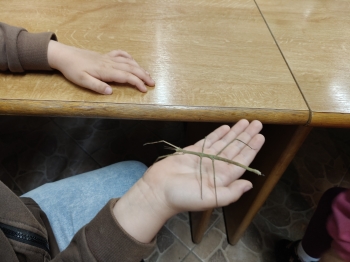 IMG20260519122619