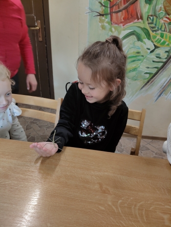 IMG20260519122831