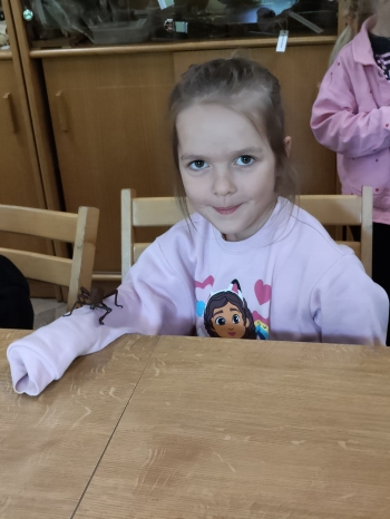 IMG20260519123421