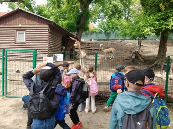 IMG20260519132114