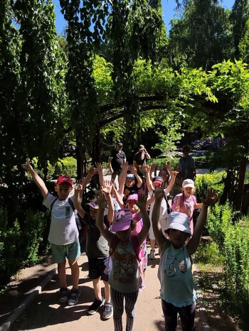 IMG-20260528-WA0019