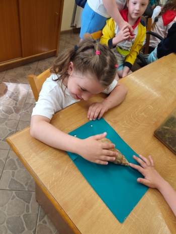 IMG-20260528-WA0027