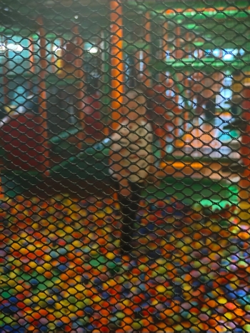 IMG-20260612-WA0002