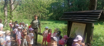 IMG_20260625_101201_182