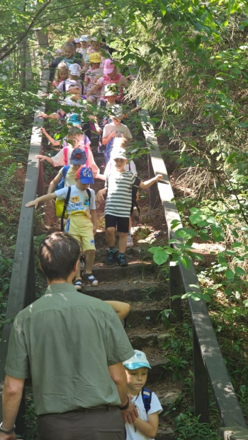 IMG-20260625-WA0076