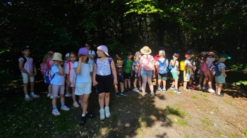 IMG-20260625-WA0082