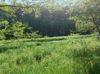 IMG-20260625-WA0089