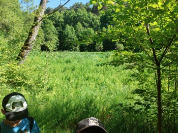 IMG-20260625-WA0093
