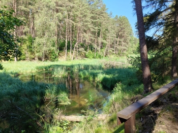 IMG-20260625-WA0100